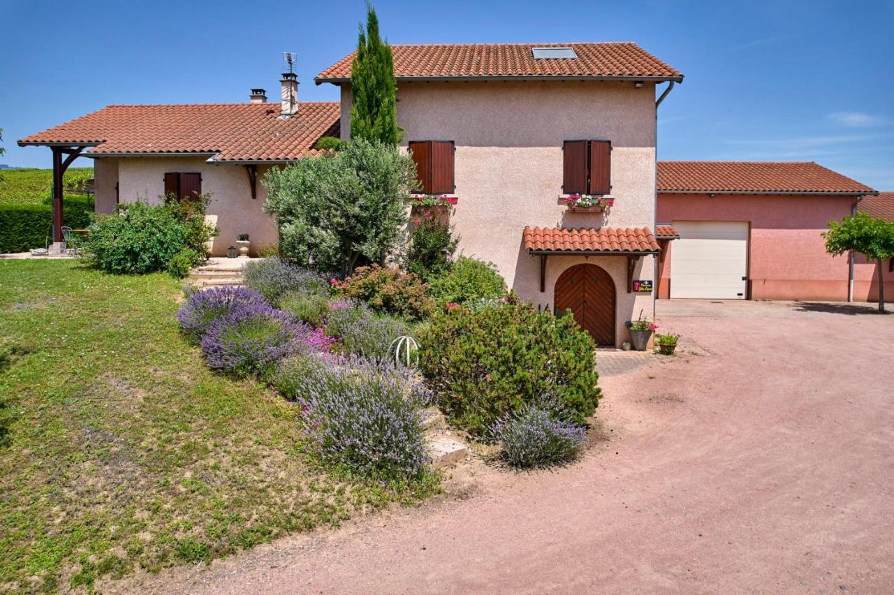 Bed and Breakfast Les Glycines - Domaine Gilles Coperet Régnié Exterior foto