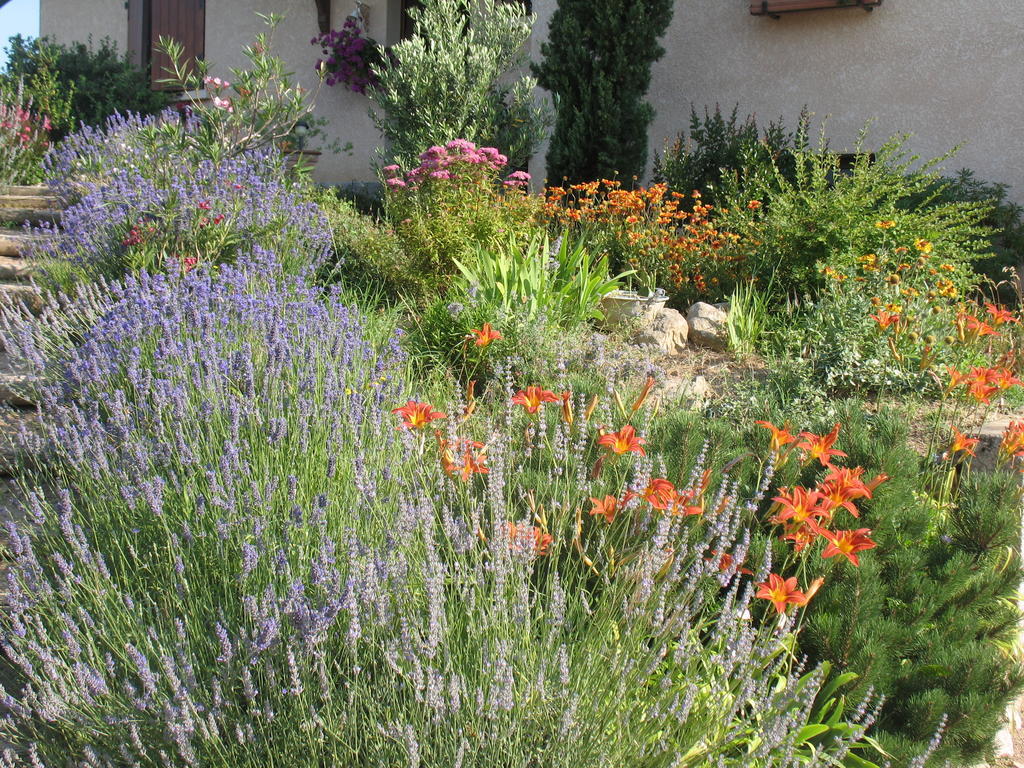 Bed and Breakfast Les Glycines - Domaine Gilles Coperet Régnié Exterior foto